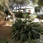 Lory