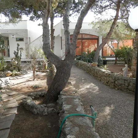 Lory Bed & Breakfast *