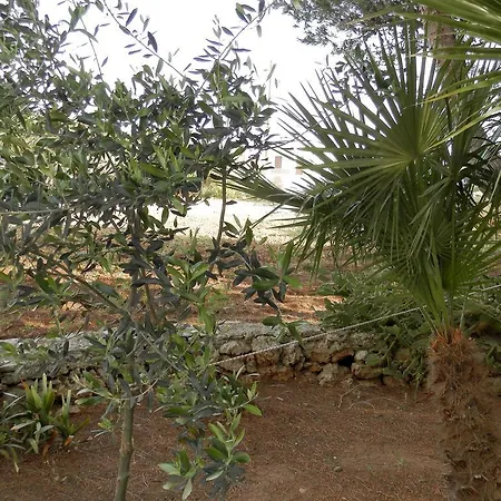 فندق مبيت وإفطار Lory *