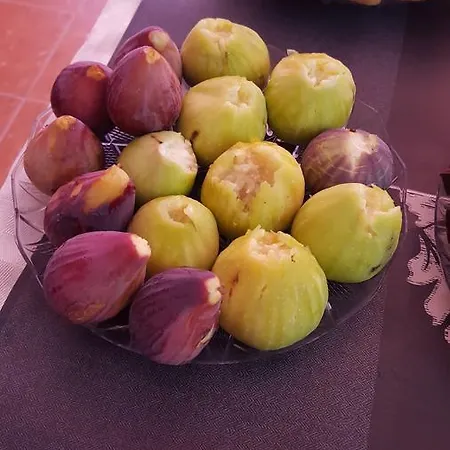 فندق مبيت وإفطار Lory *