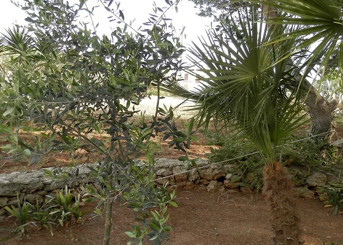 לינה וארוחת בוקר Lory *